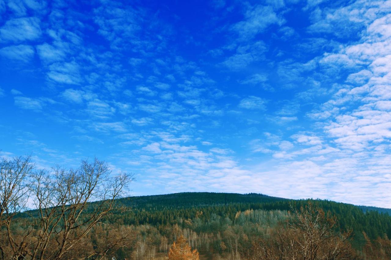 Willa Ostoja Świeradów-Zdrój Exterior foto